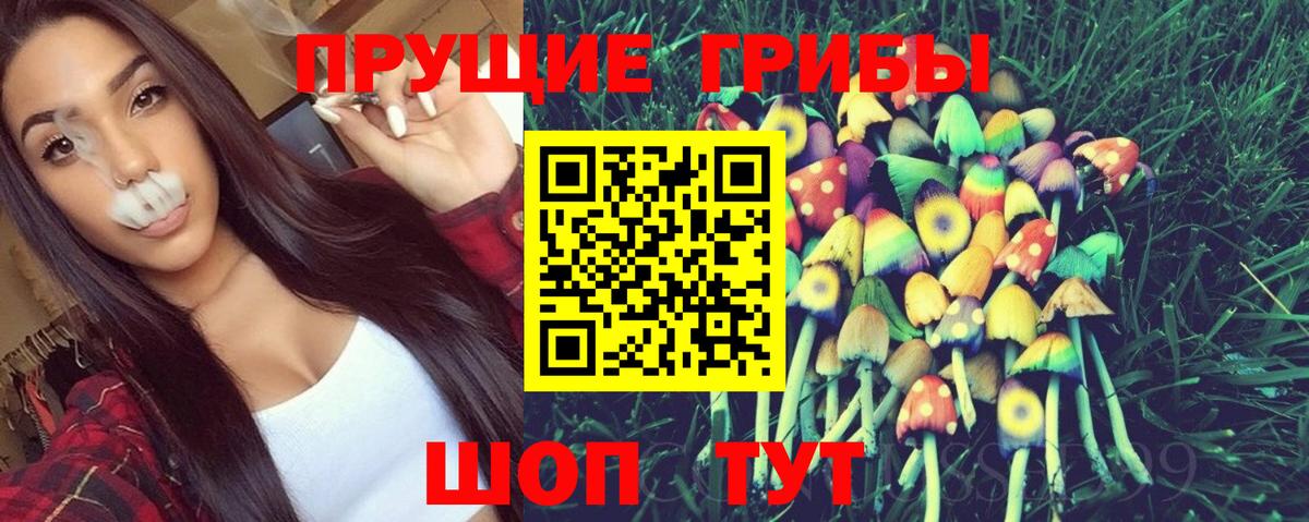 Новороссийск  Псилоцибиновые грибы MAGIC MUSHROOMS  Вход с VPN  Псилоцибиновые грибы Magic Shrooms 