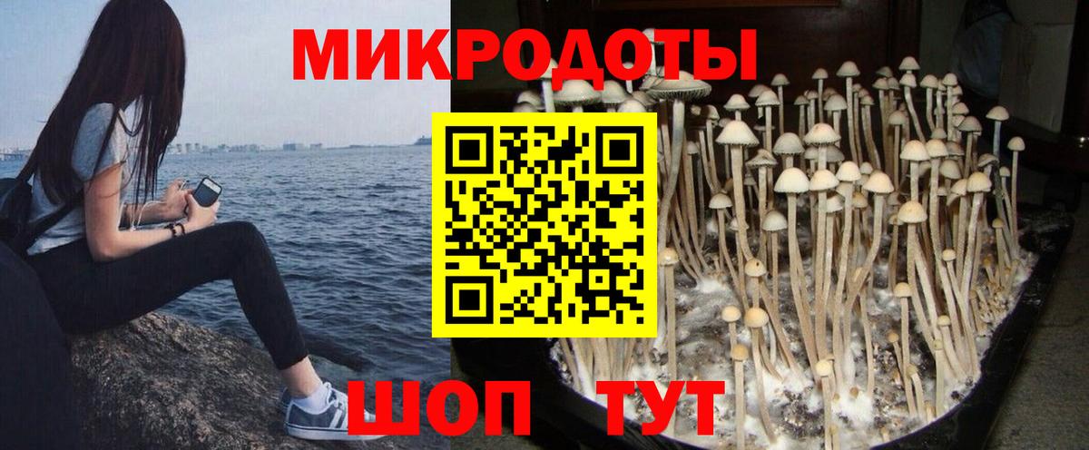 Галлюциногенные грибы прущие грибы Новороссийск